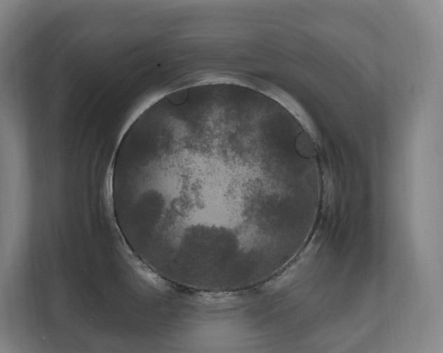 X0000111121198200906301304