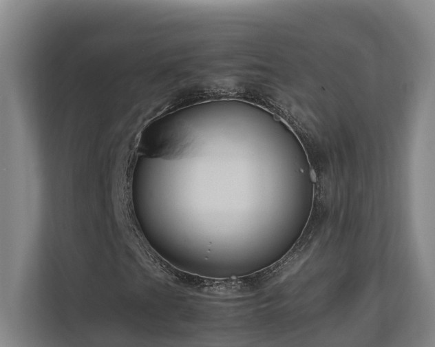 X0000111121201200906301303