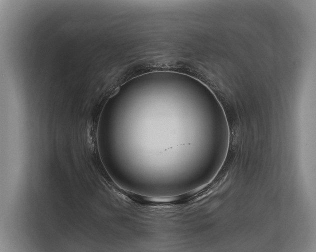X0000111121202200906301303