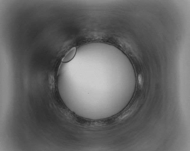 X0000111121203200906301304