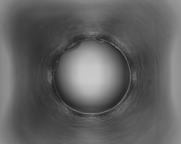 X0000111121204200906301304