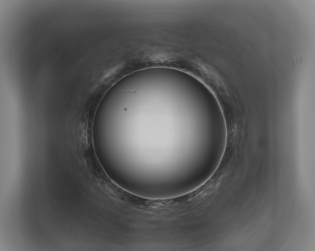X0000111121205200906301304