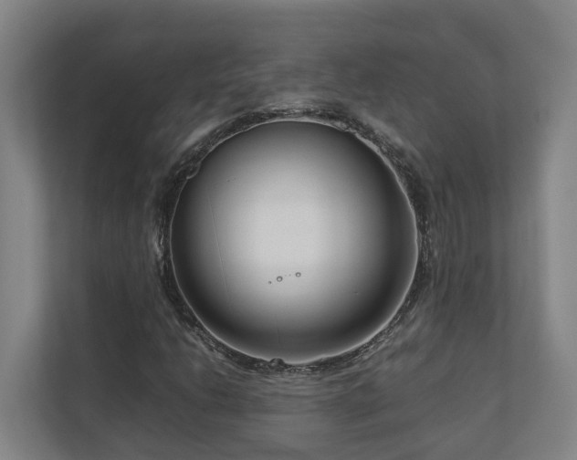 X0000111121206200906301304