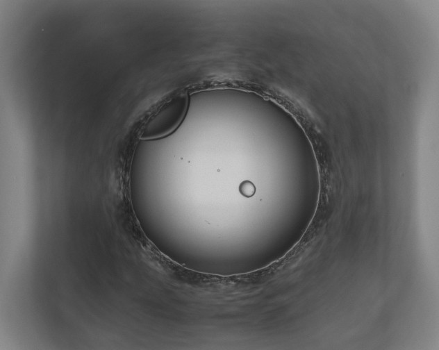 X0000111121207200906301304