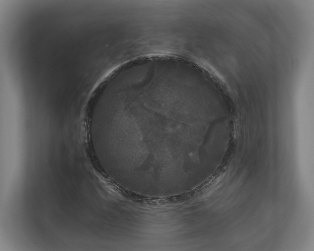 X0000111121208200906301304