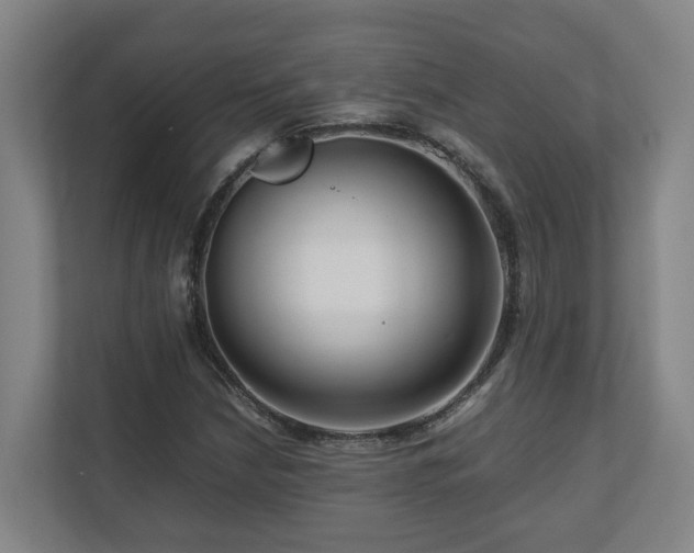 X0000111121210200906301304