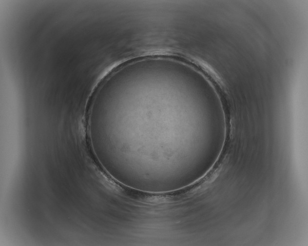 X0000111121212200906301304