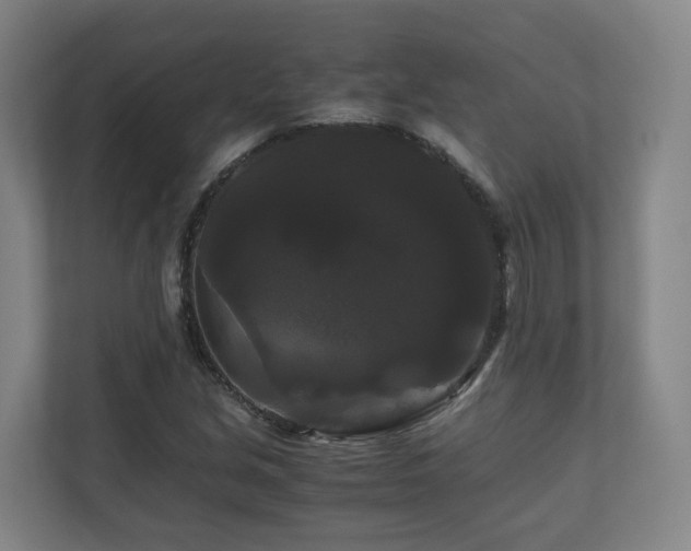 X0000111121213200906301304