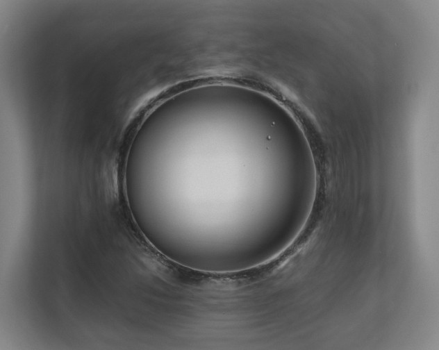 X0000111121214200906301304