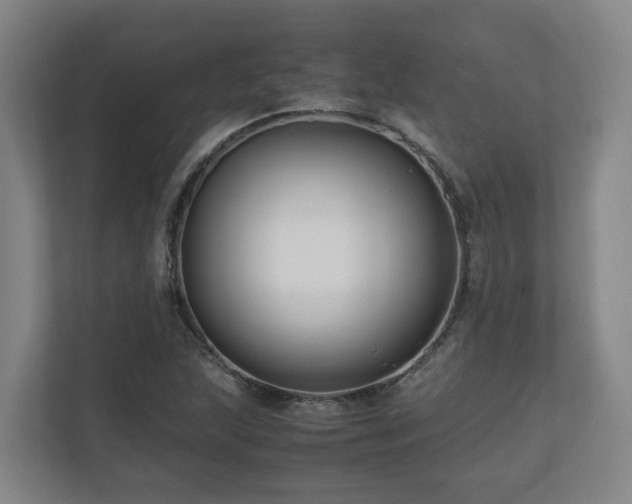 X0000111121215200906301304