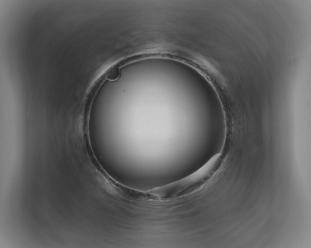 X0000111121216200906301304