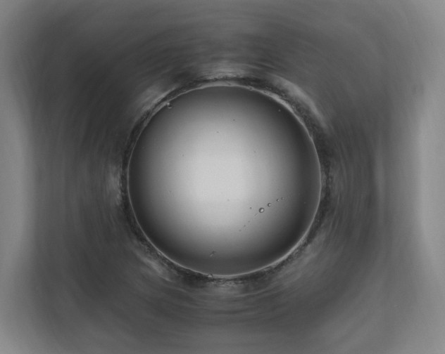 X0000111121217200906301304