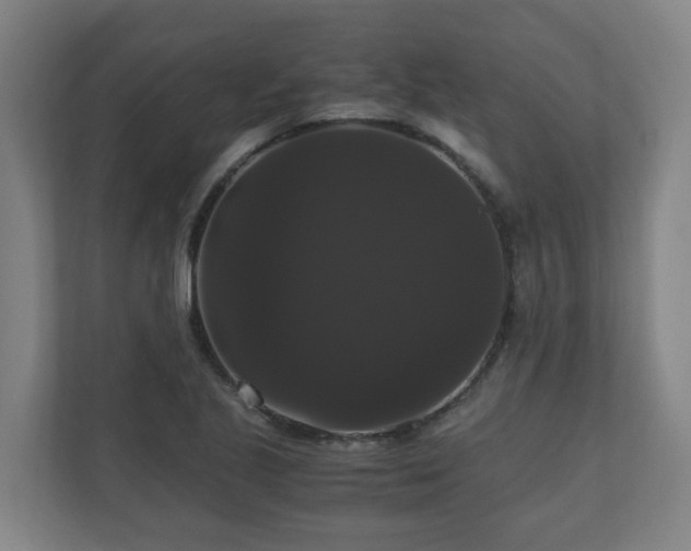 X0000111121221200906301304