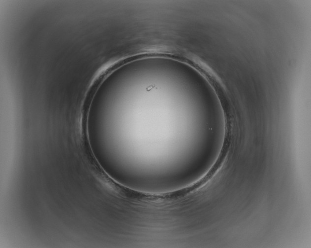 X0000111121222200906301304