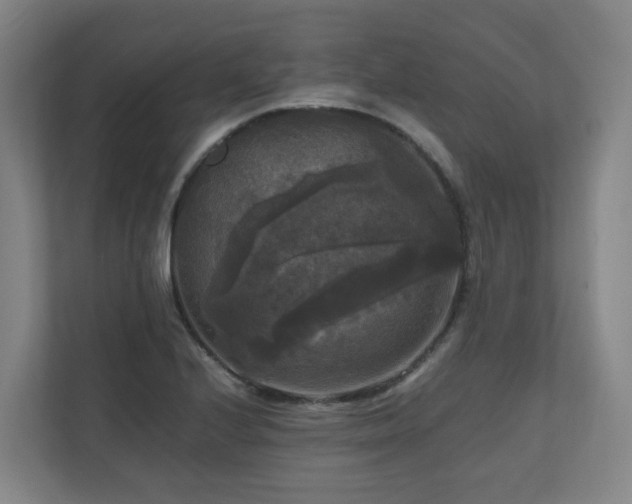 X0000111121224200906301304