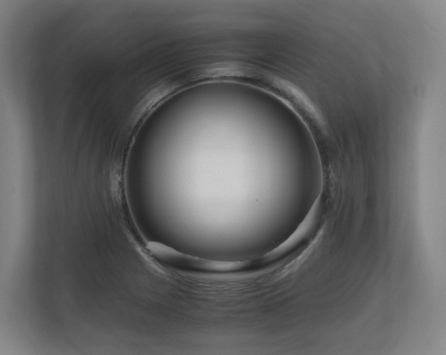 X0000111121225200906301304