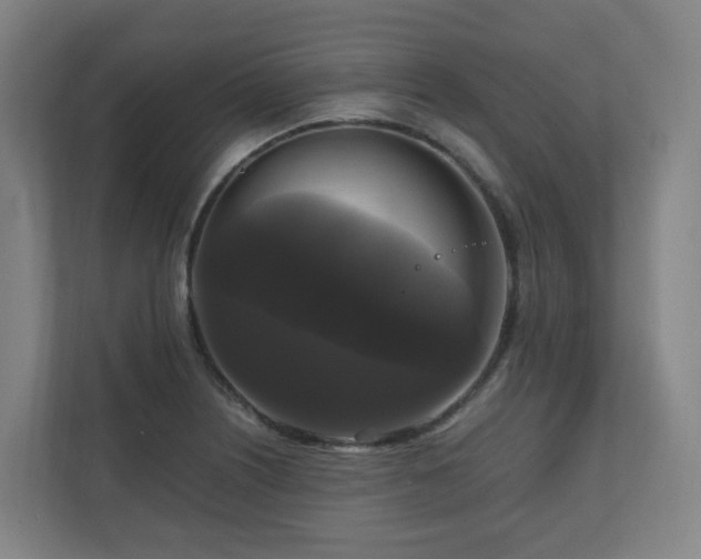 X0000111121226200906301304