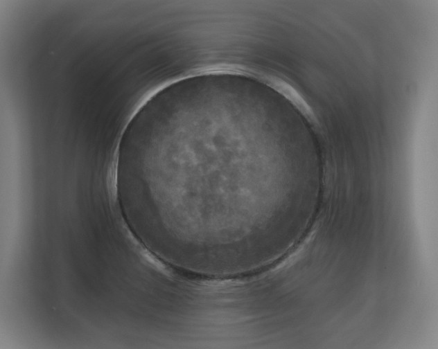 X0000111121228200906301304