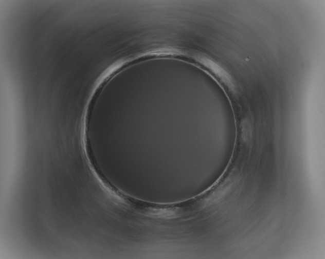 X0000111121229200906301304