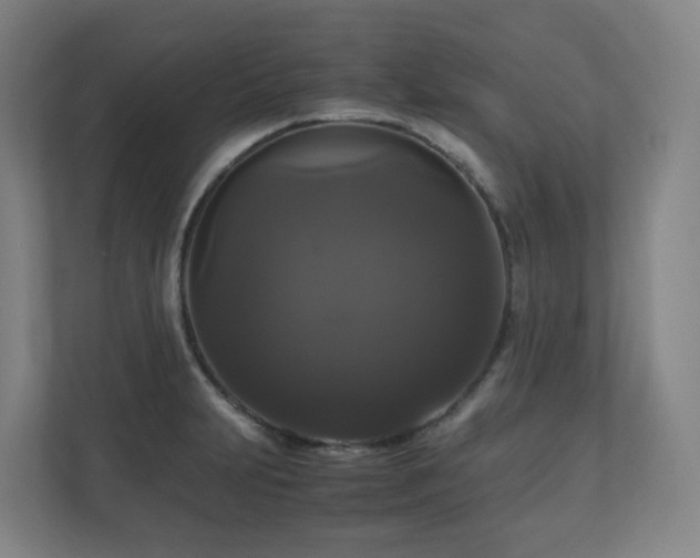 X0000111121231200906301304