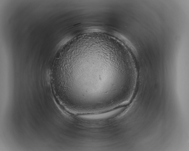 X0000111121233200906301304