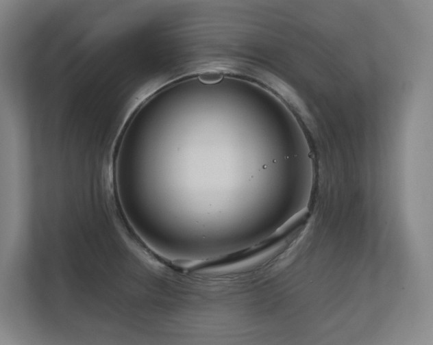 X0000111121234200906301304