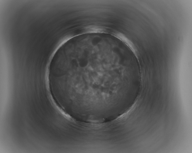 X0000111121235200906301304