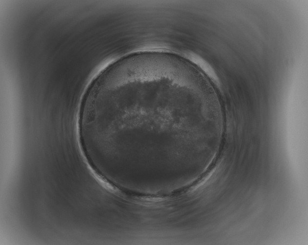 X0000111121237200906301304
