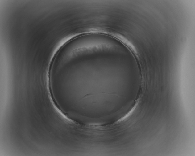X0000111121239200906301304