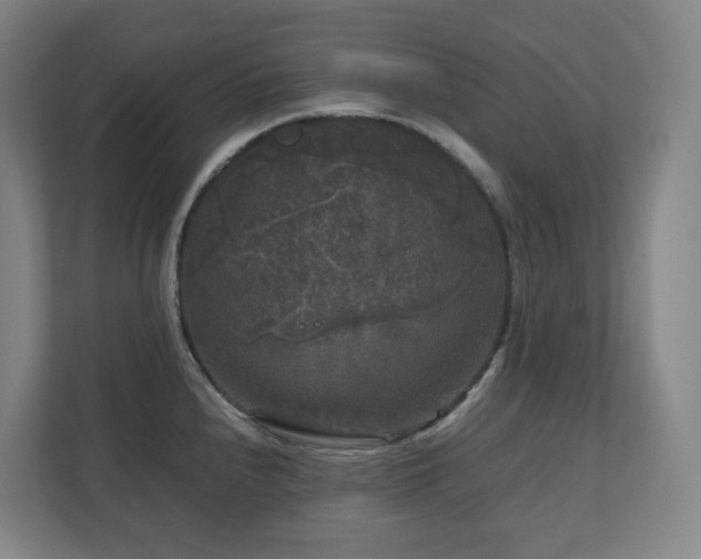 X0000111121240200906301304