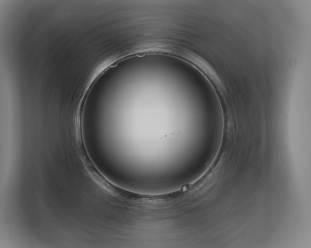 X0000111121242200906301304