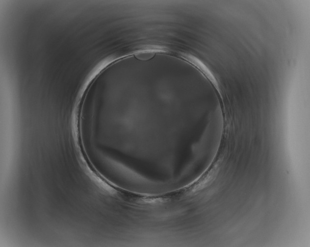 X0000111121243200906301304