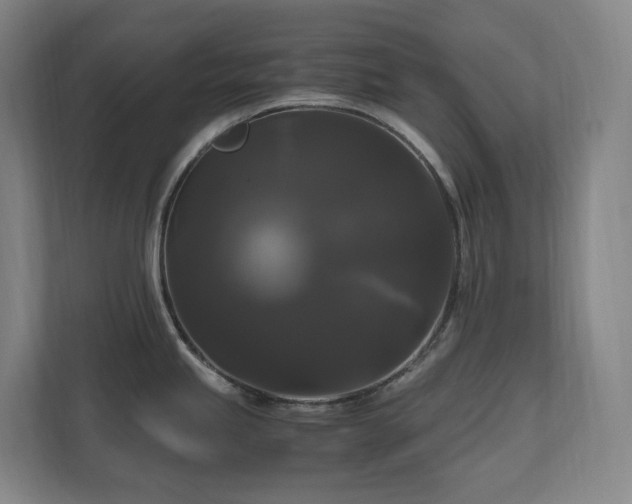 X0000111121245200906301304