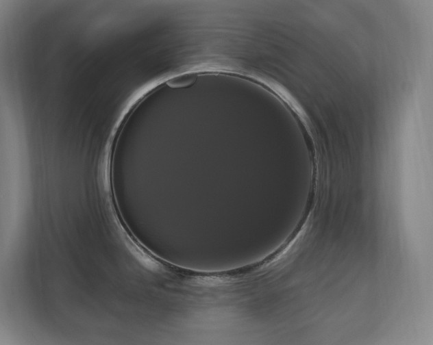 X0000111121246200906301304