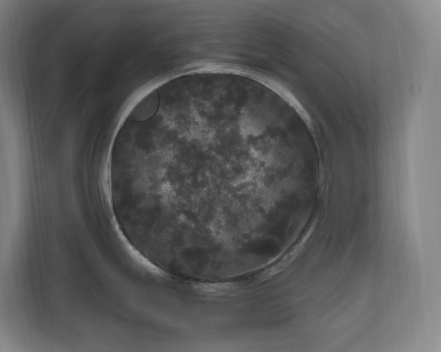 X0000111121247200906301304