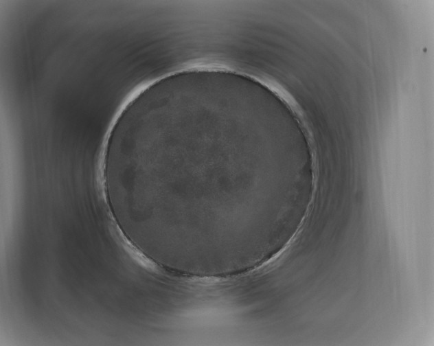 X0000111121248200906301304