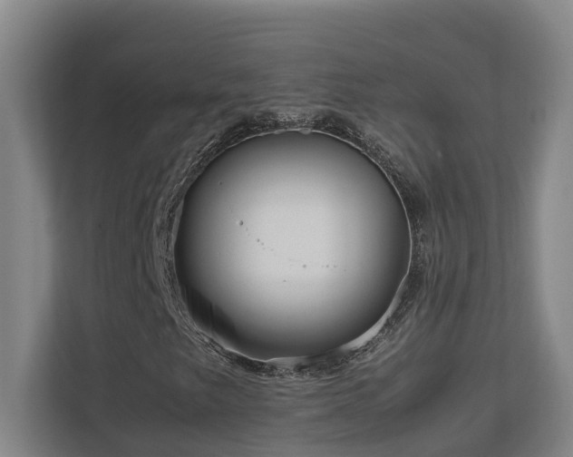 X0000111121249200906301303