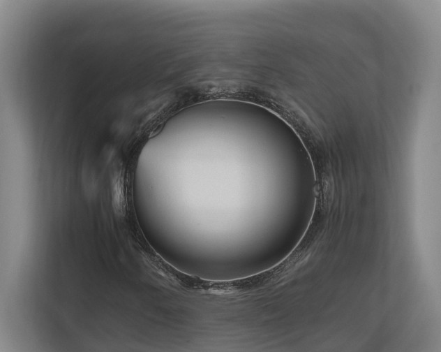 X0000111121250200906301303