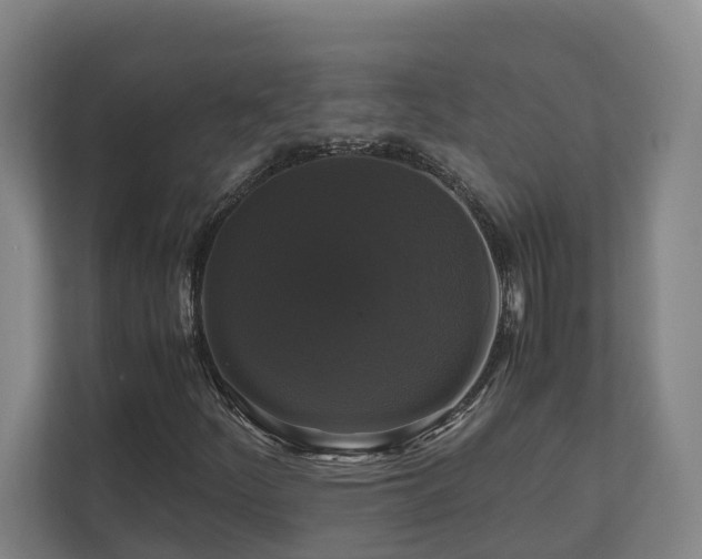 X0000111121252200906301303