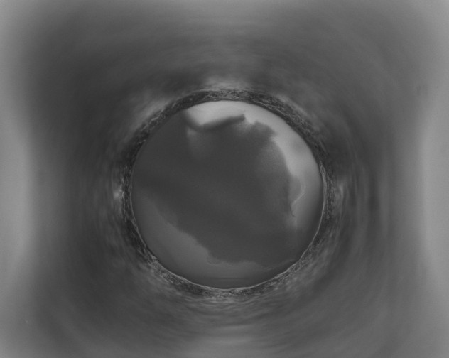 X0000111121254200906301303