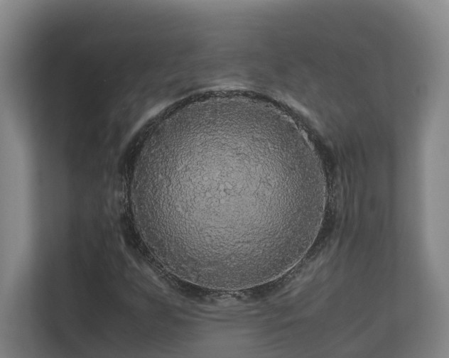 X0000111121255200906301303