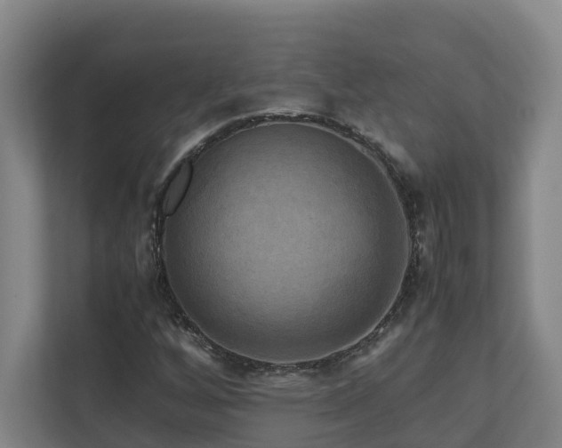 X0000111121256200906301303