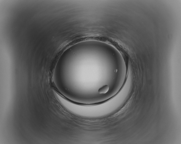 X0000111121257200906301303