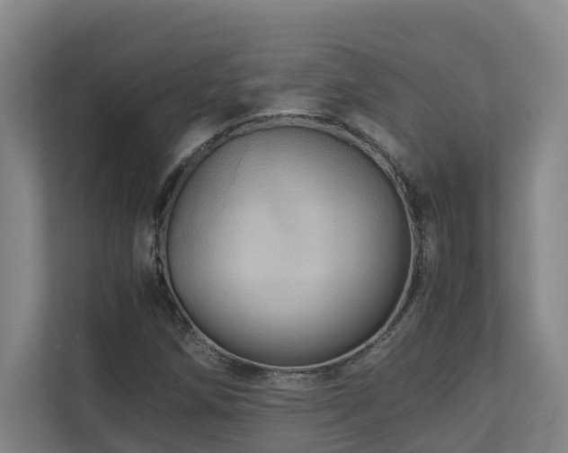 X0000111121258200906301303