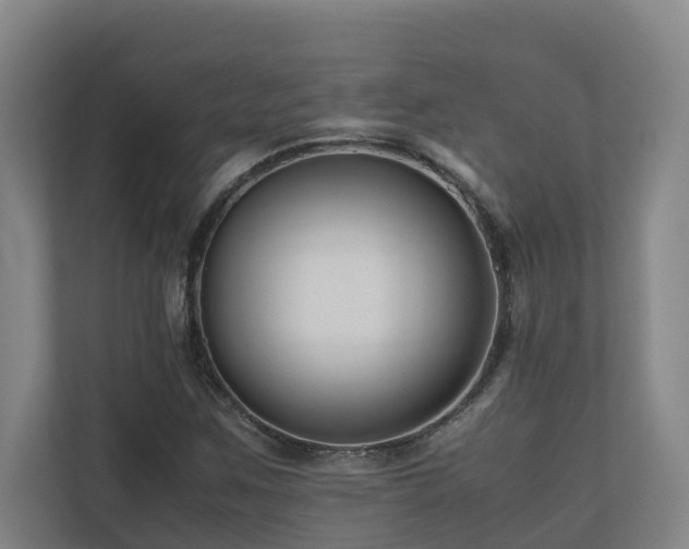 X0000111121259200906301303