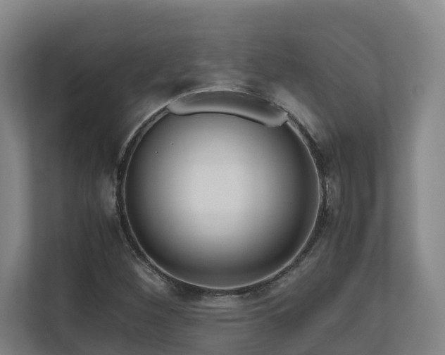 X0000111121260200906301303