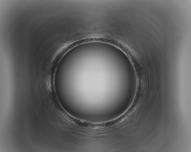 X0000111121262200906301303