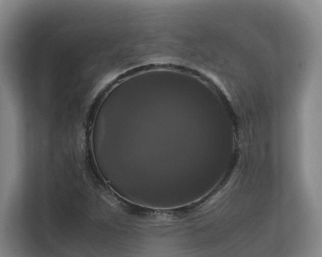 X0000111121263200906301303