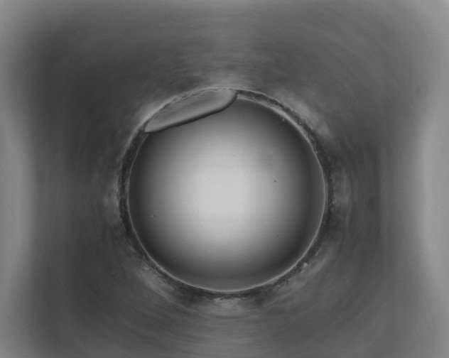 X0000111121264200906301303