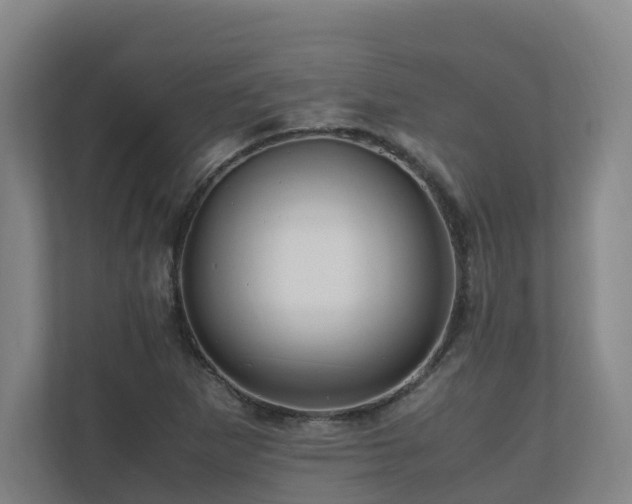 X0000111121265200906301303